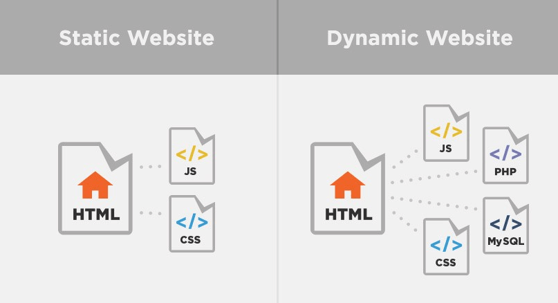 Sitio web estatico vs dinamico